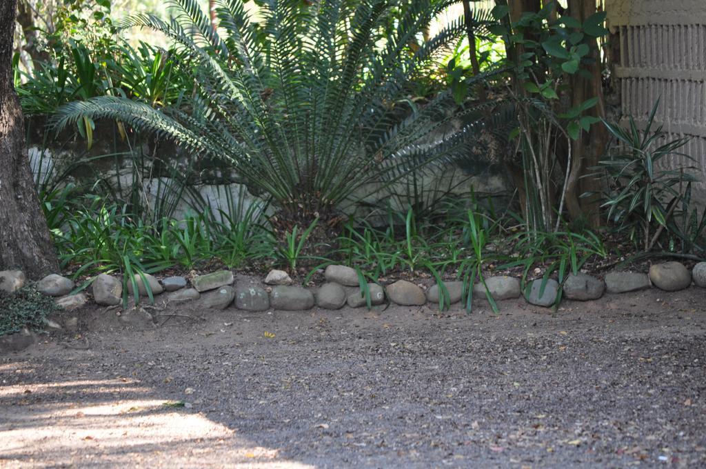 Laughing Waters Guest House Хейзивю Екстериор снимка