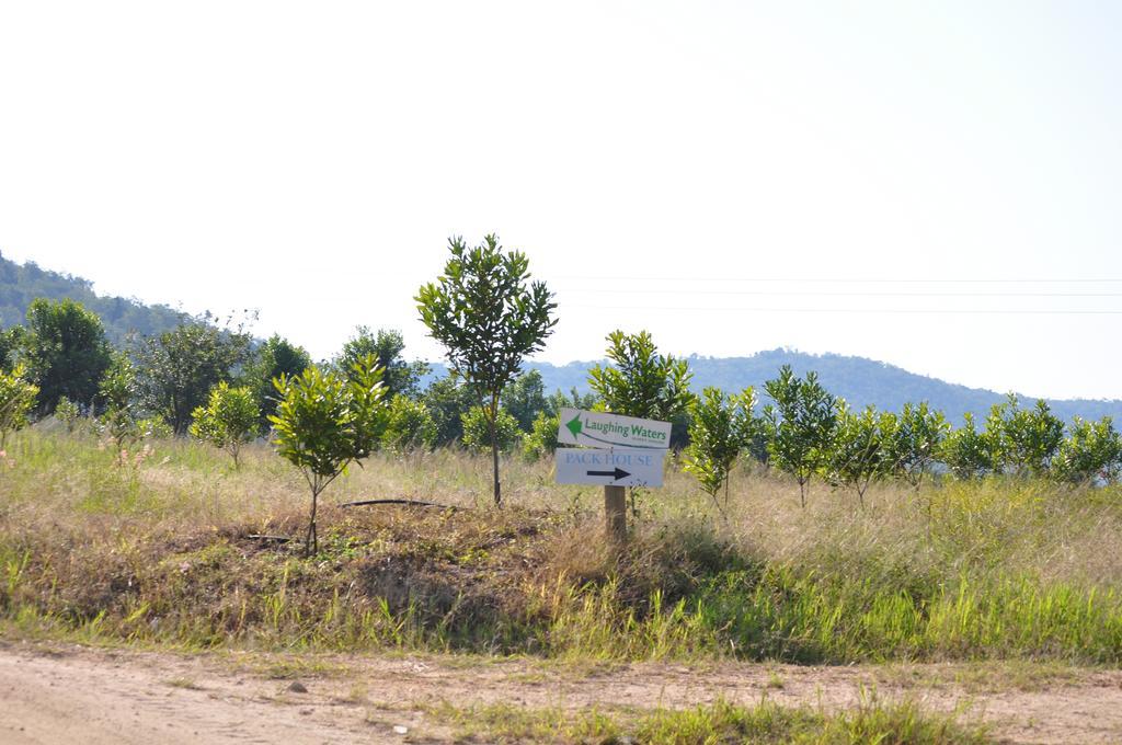 Laughing Waters Guest House Хейзивю Екстериор снимка